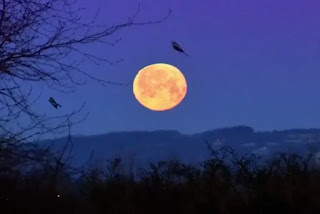 Why is the Moon Orange Tonight