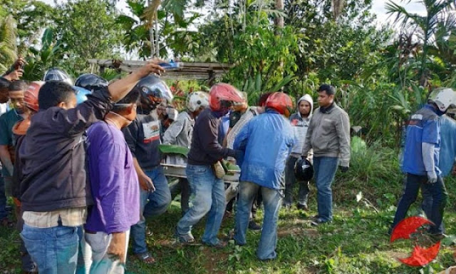  Kelompok  Separatis Papua Tembak Kepala Tukang Ojek 