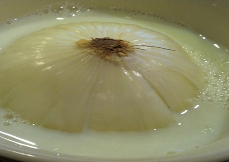 khasiat susu bawang putih yang belum diketahui banyak orang