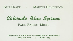 Blue Spruce