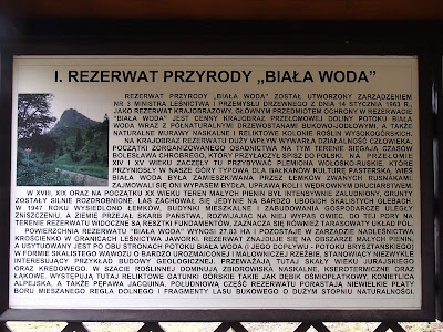 Pieniny, Rezerwat Biała woda, grzyby 2017, grzyby zimowe, grzyby w Pieninach