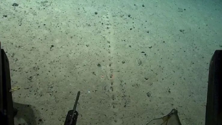 Strange holes discovered by scientists at the bottom of the Atlantic Ocean