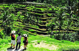 Sewa Mobil Jogja menuju Desa Wisata Nglinggo