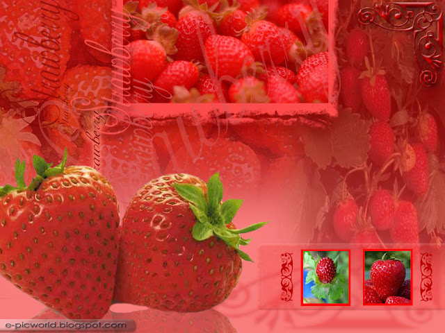 wallpaper strawberry. hair 4 STRAWBERRIES WALLPAPER strawberry wallpaper. Strawberry wallpaper