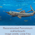 मोरक्को में 365 मिलियन वर्ष पुराना शार्क का जीवाश्म मिला/365 million year old shark fossil found in Morocco 