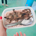 Quảng Nam thông tin chính thức về "hộp cơm thịt chuột" của học sinh xuất hiện trên mạng