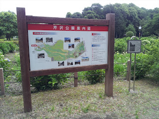 「芹沢公園」の公園案内図