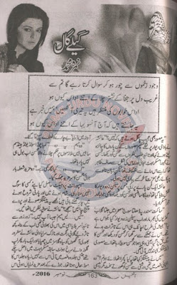 Geelay gaal novel by Nimra Muhammad