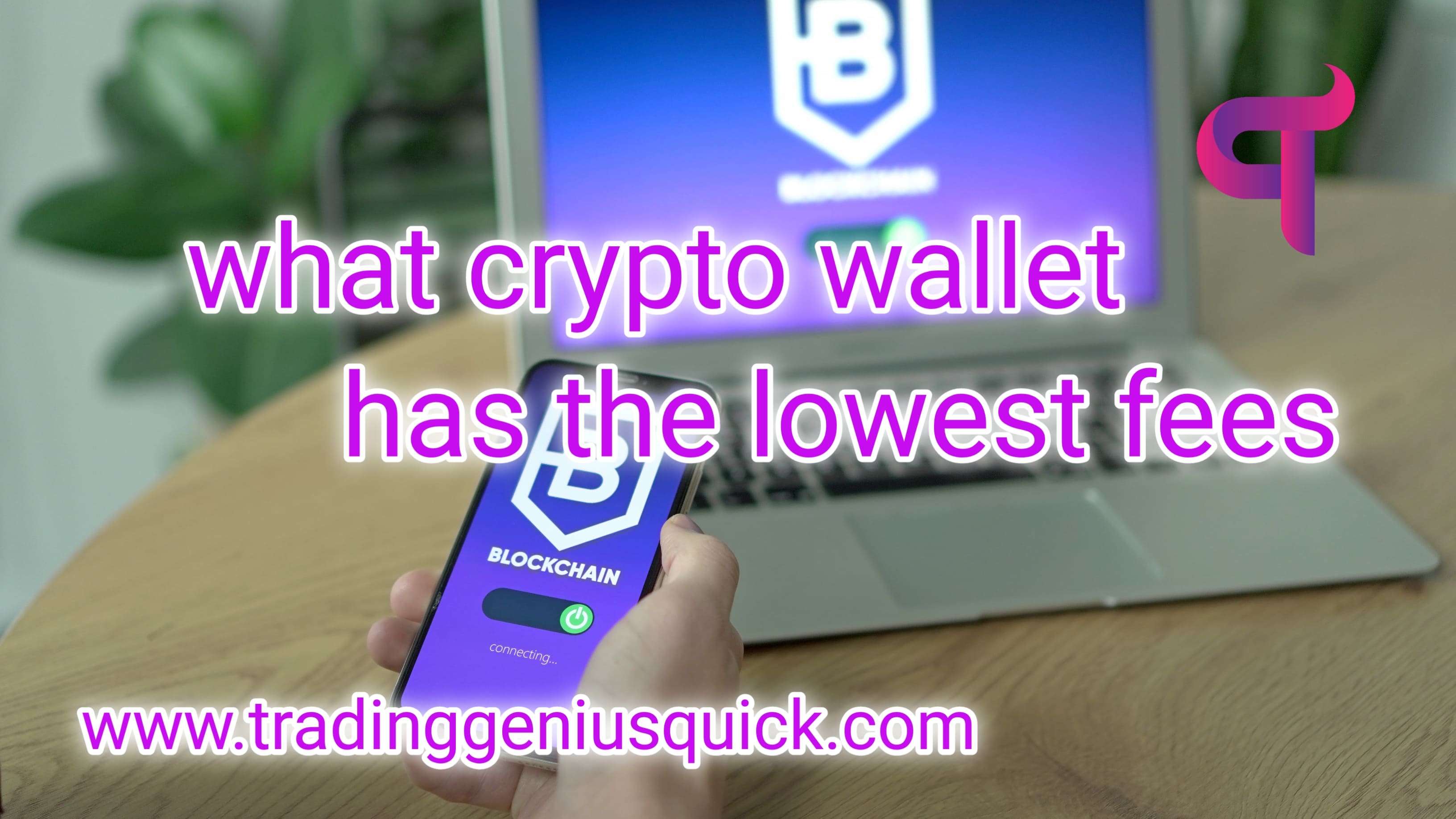 crypto wallet with the lowest fees