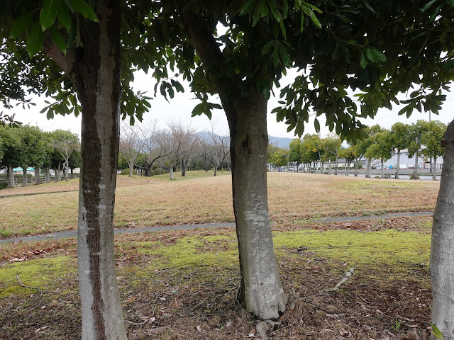 歩道から見た一番奥の公園区画