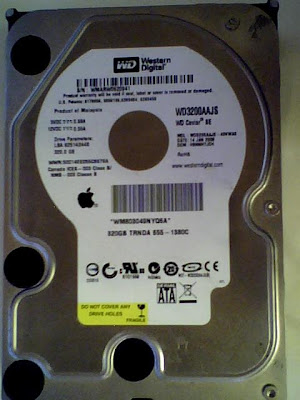 Western Digital Caviar WD3200AAJS