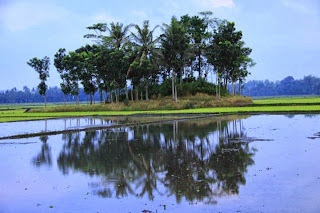 Save gumuk jember