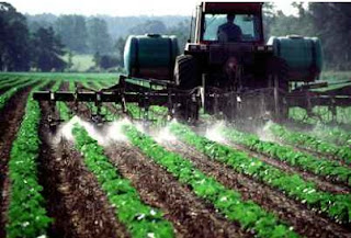 Pesticides Being Sprayed on Food Crops