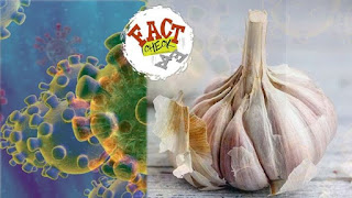 Coronavirus image and garlic as a fast fact to cure without medicine