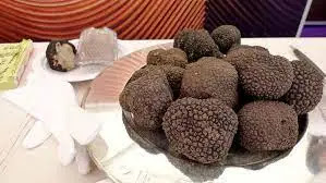 What is a truffle, why, truffle, more expensive than gold