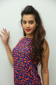 diksha panth sizzling photo shoot-thumbnail-17