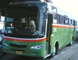 Pusat sewa bus pariwisata murah: PUSAT SEWA BUS AC HARGA NEGO 