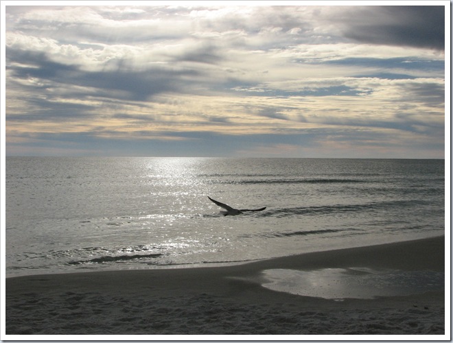 November 2009 693