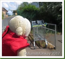 shopping trolley 1