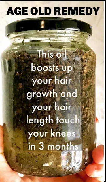 Curry Leaves Remedy To Get Strong And Long Hair