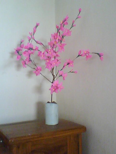 YUME ALMO Membuat Bunga  Sakura dari  kertas  krep  creepe 