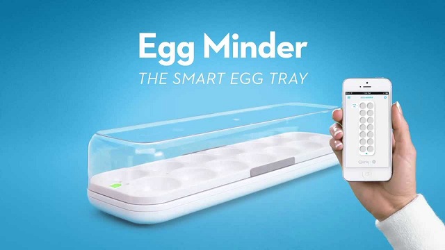 حافظة البيض Quirky Egg Minder