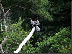 IMG_0619 copy