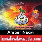 http://www.humaliwalayazadar.com/2014/02/amber-naqvi-nohay-2015.html