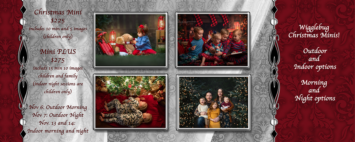 2021 Christmas Tree photos DeKalb Sycamore Illinois outdoor photos
