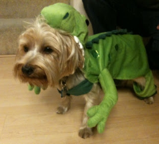 Dog as lizard