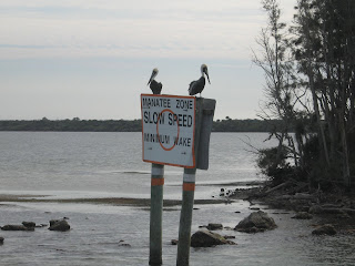 Click to see Pelican Sentinels