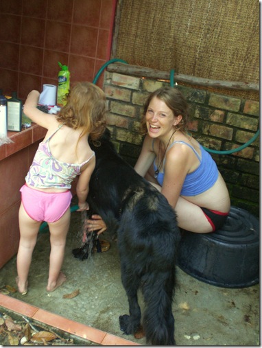 09 dog wash