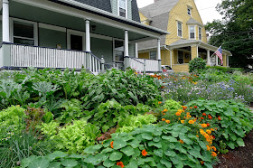 Less Noise, More Green Edible Landscape Project, August 2014