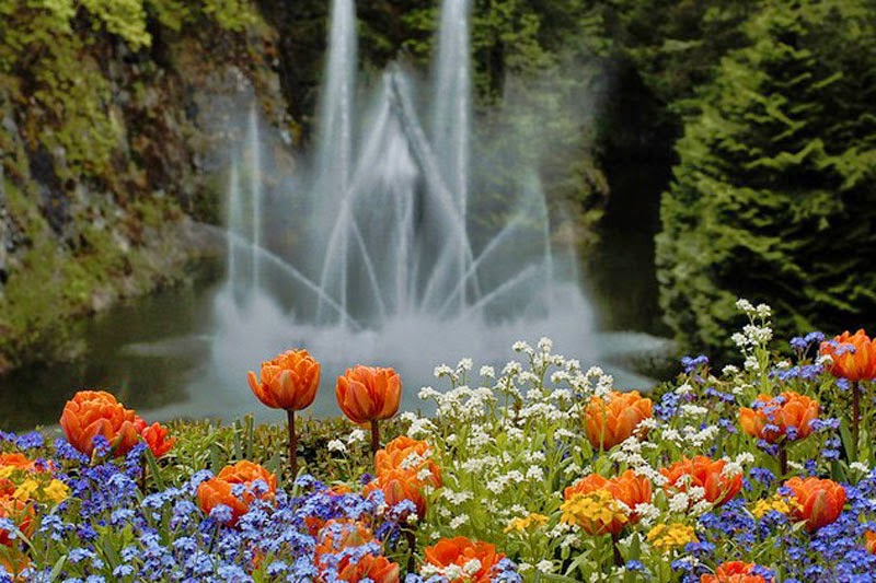 4. Butchart Gardens, Canada - 5 Incredible Gardens That Will Blow Your Mind