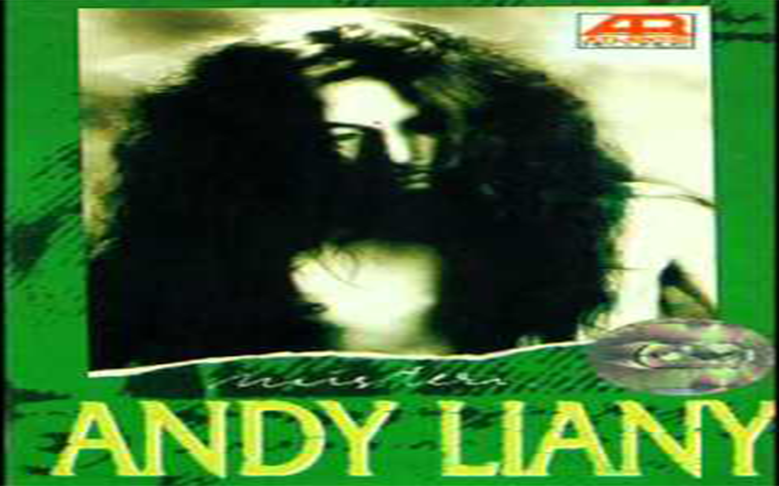 Sejarah Dan Biografi Andy Liany