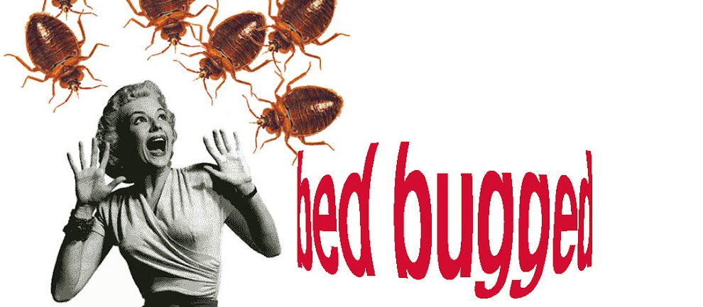 Bed Bugged