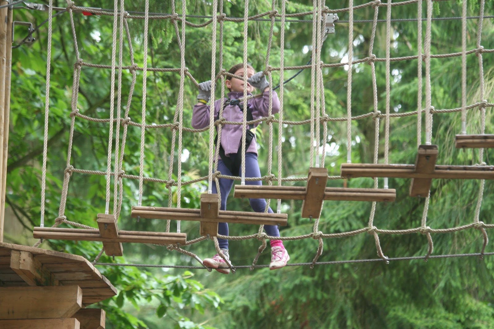 Crazy Cambridge Mum Go Ape And Thetford Forest