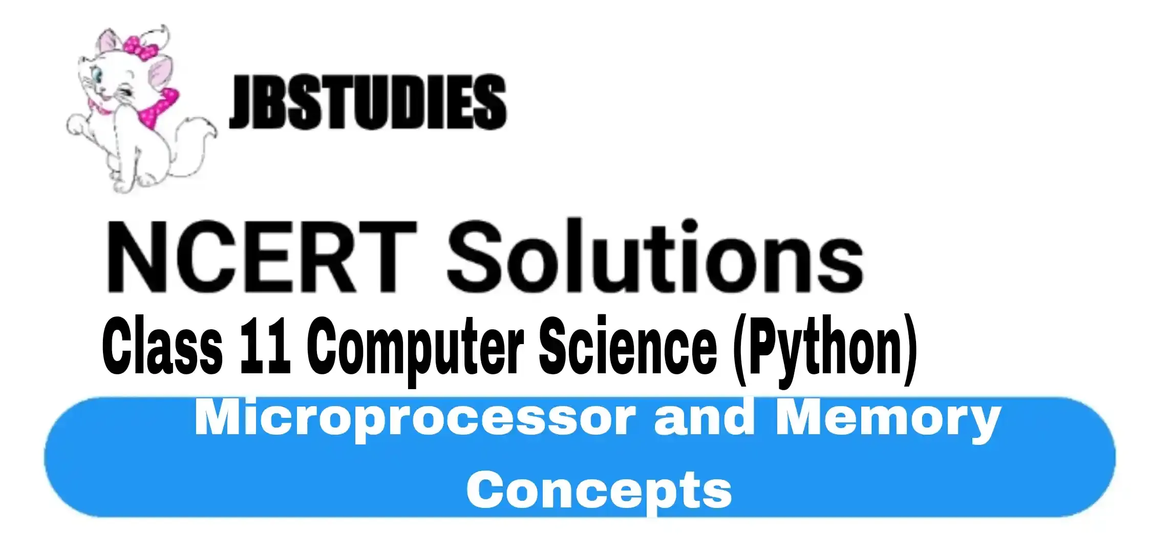Solutions Class 11 Computer Science (Python) Chapter-4 (Microprocessor and Memory Concepts)