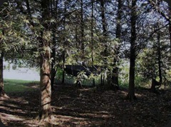 Stealth  Hammock Campsite 