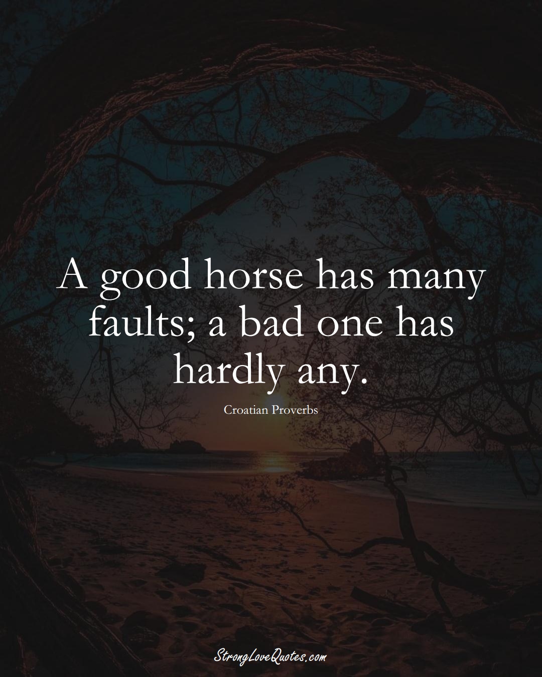 A good horse has many faults; a bad one has hardly any. (Croatian Sayings);  #EuropeanSayings