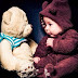 Happy Teddy Day SMS, Messages, Images 2018