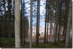 Bilder 321