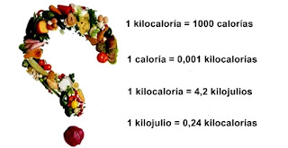 Resultado de imagen para kilocaloria