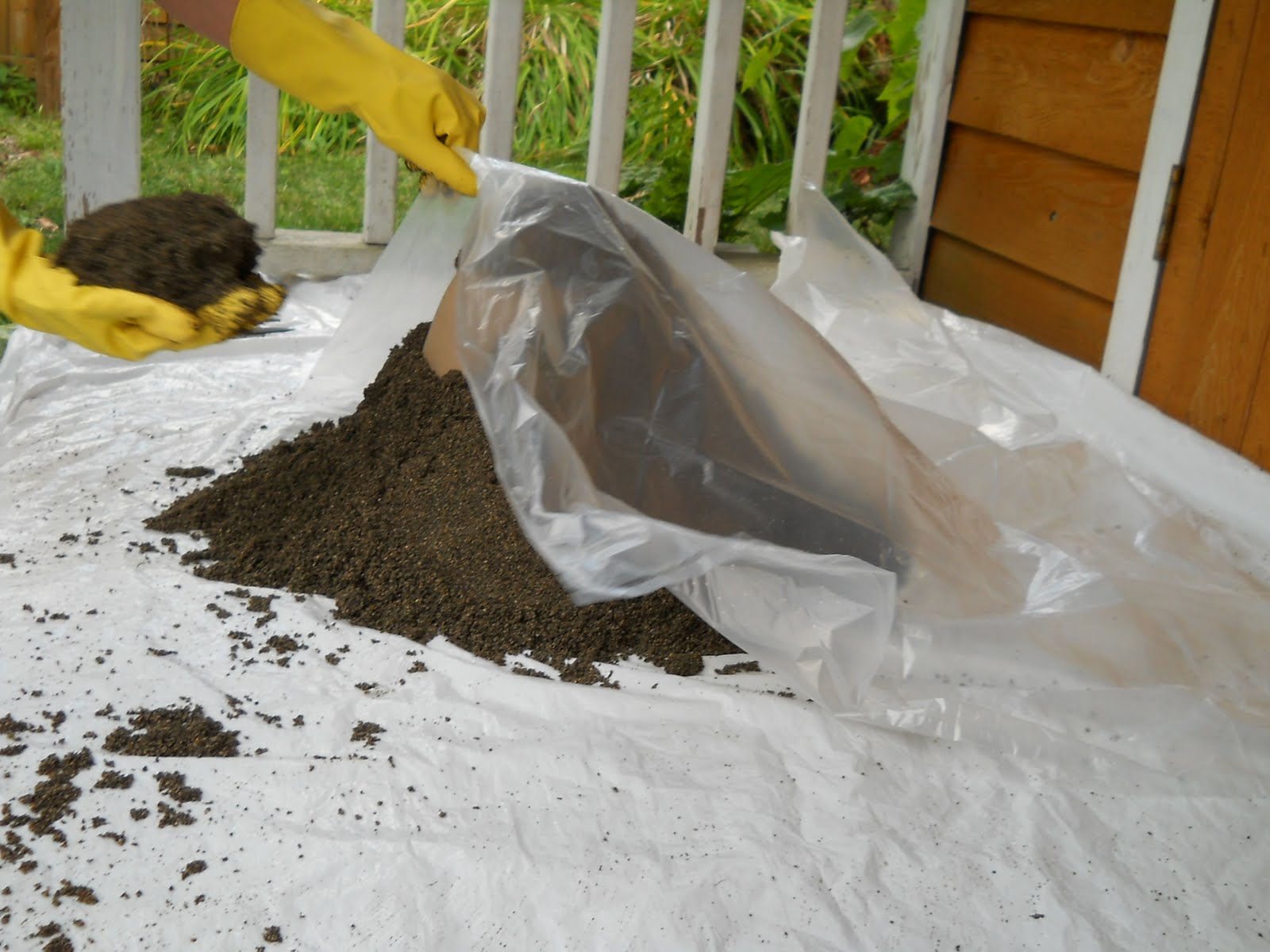 Flowers and Weeds: Concrete Leaf Casting : First Attempt