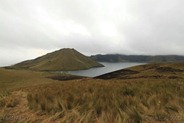 IMG_8854