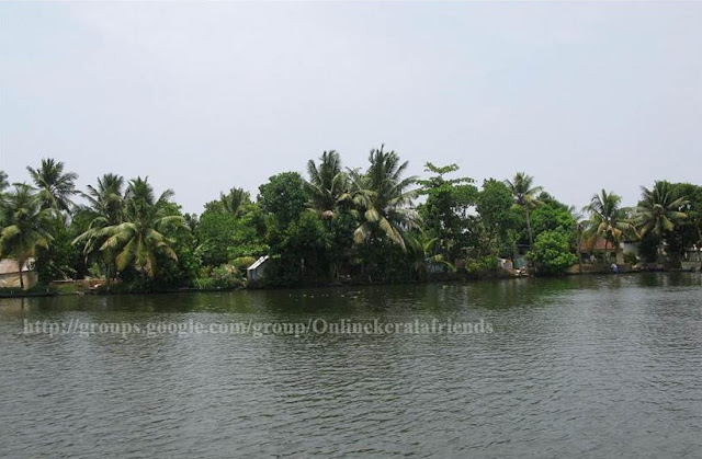 Alapuzha Lake - Beauty of Kerala 5