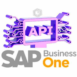 Cómo publicar en un web api el DIAPI de SBO - Consultoria SAP