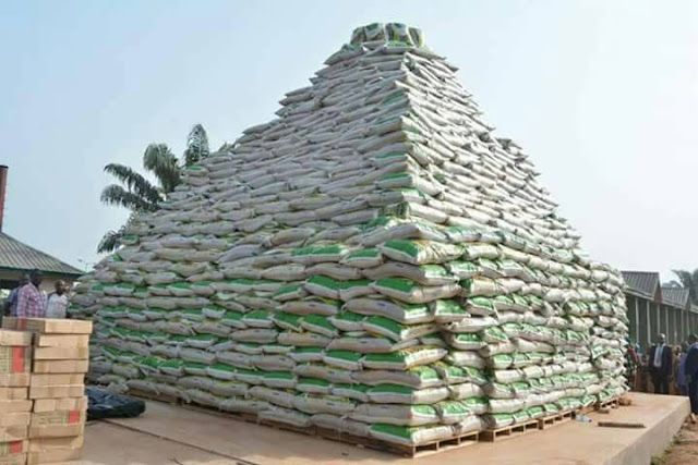Ogun govt begins sales of MITROS Ofada rice