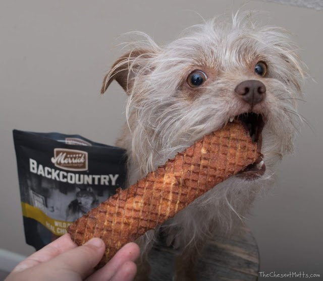 Mini Review: Merrick Backcountry Jerky Dog Treats