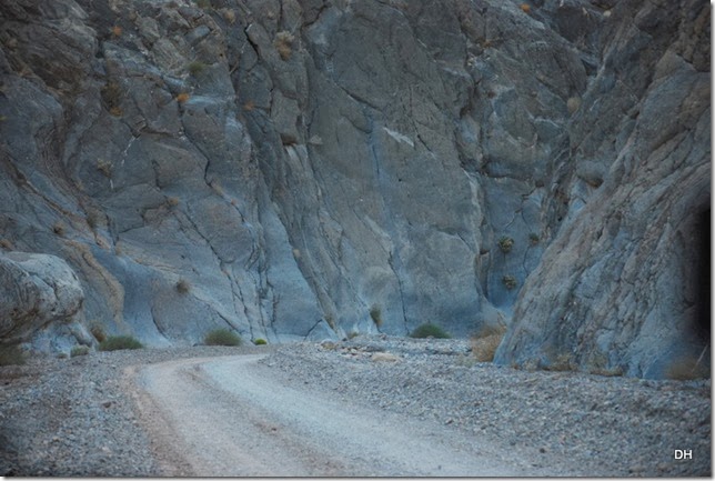 11-08-13 A DV 4x4 Titus Canyon Road (451)